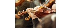 Violins and Accessories