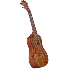 Kala ASAC-C Concert Ukulele