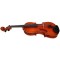 Westbury Viola 15.5