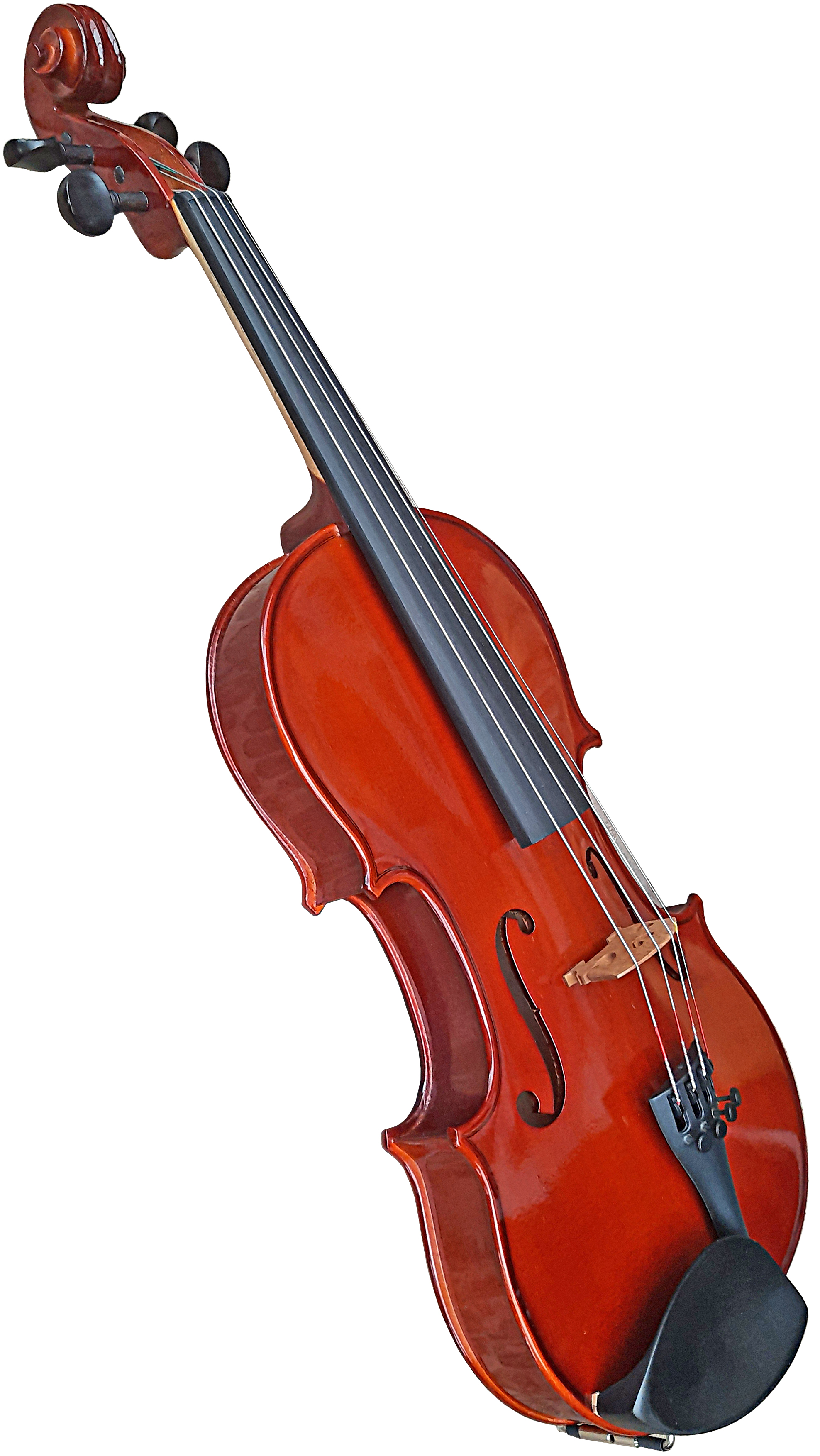 Stentor Conservatoire Violin OF