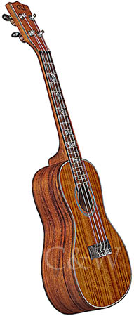 Kala ASAC-C Concert Ukulele