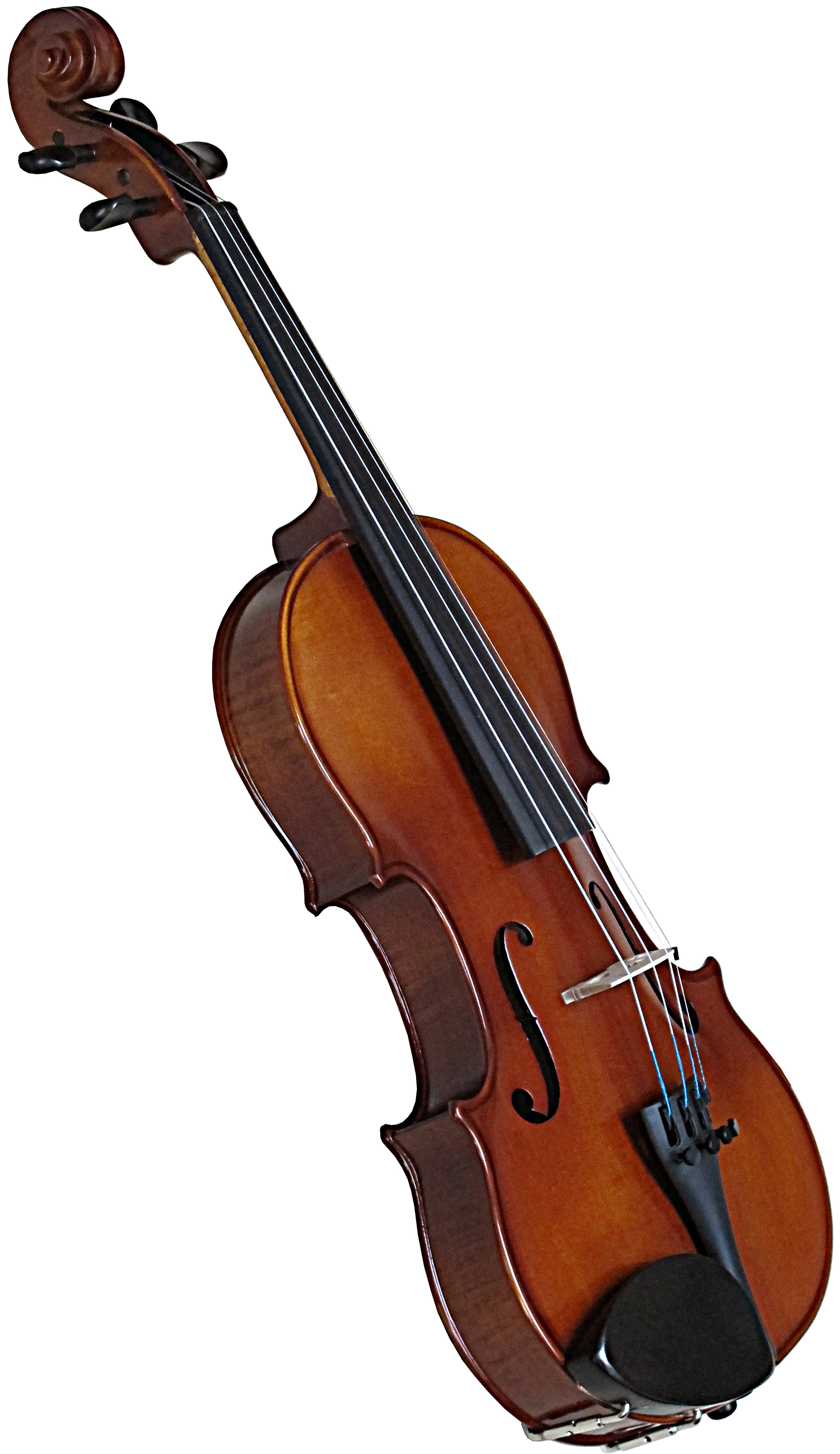 Loreato Violin Outfit